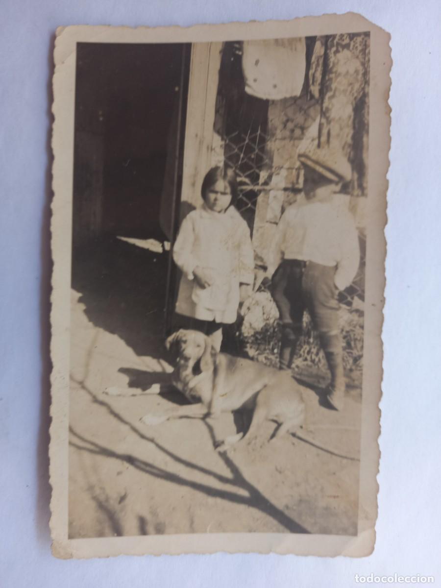 Photographie ancienne: NI&Ntilde;OS CON SU PERRO, CHILDREN WITH THEIR DOG, ENFANTS AVEC LEUR CHIEN