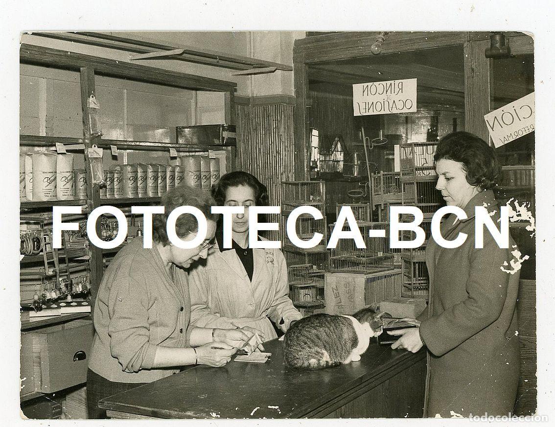 Fotograf&iacute;a antigua: FOTO ORIGINAL TIENDA DE ANIMALES PAJARERIA ESPA&Ntilde;A A&Ntilde;O 1962