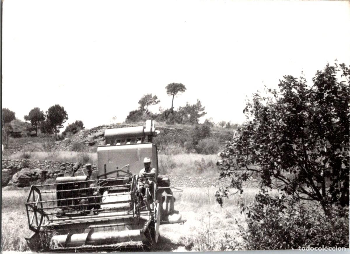 Fotograf&iacute;a antigua: Segadora - M&aacute;quina Agr&iacute;cola - Recolecci&oacute;n de Forraje y Siega - Sin ning&uacute;n dato -Fotograf&iacute;a- 119x87mm