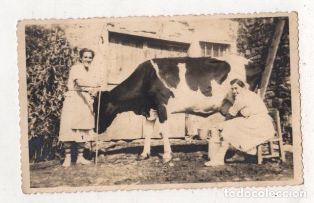 Fotograf&iacute;a antigua: FOTOGRAFIA CON ESCENA VASCA EN LECHERIA. MENDEJA, BIZKAIA. A&Ntilde;O 1951