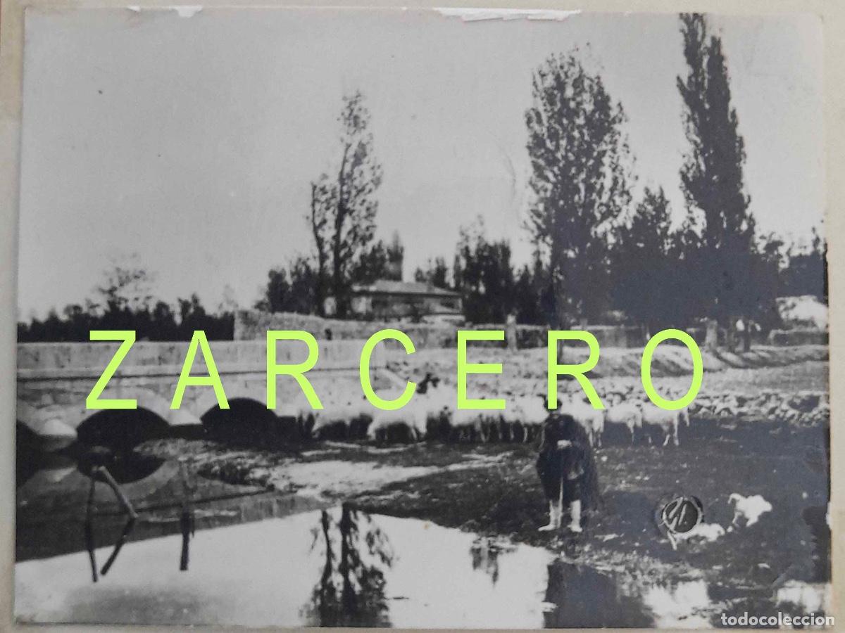 Fotograf&iacute;a antigua: Renedo de Esgueva (Valladolid). Fotograf&iacute;a. A&ntilde;o 1962.