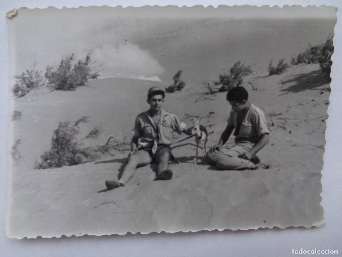 Fotograf&iacute;a antigua: LA LEGION : FOTO DE LEGIONARIOS CON UNA PEQUE&Ntilde;A GACELA EN EL SAHARA