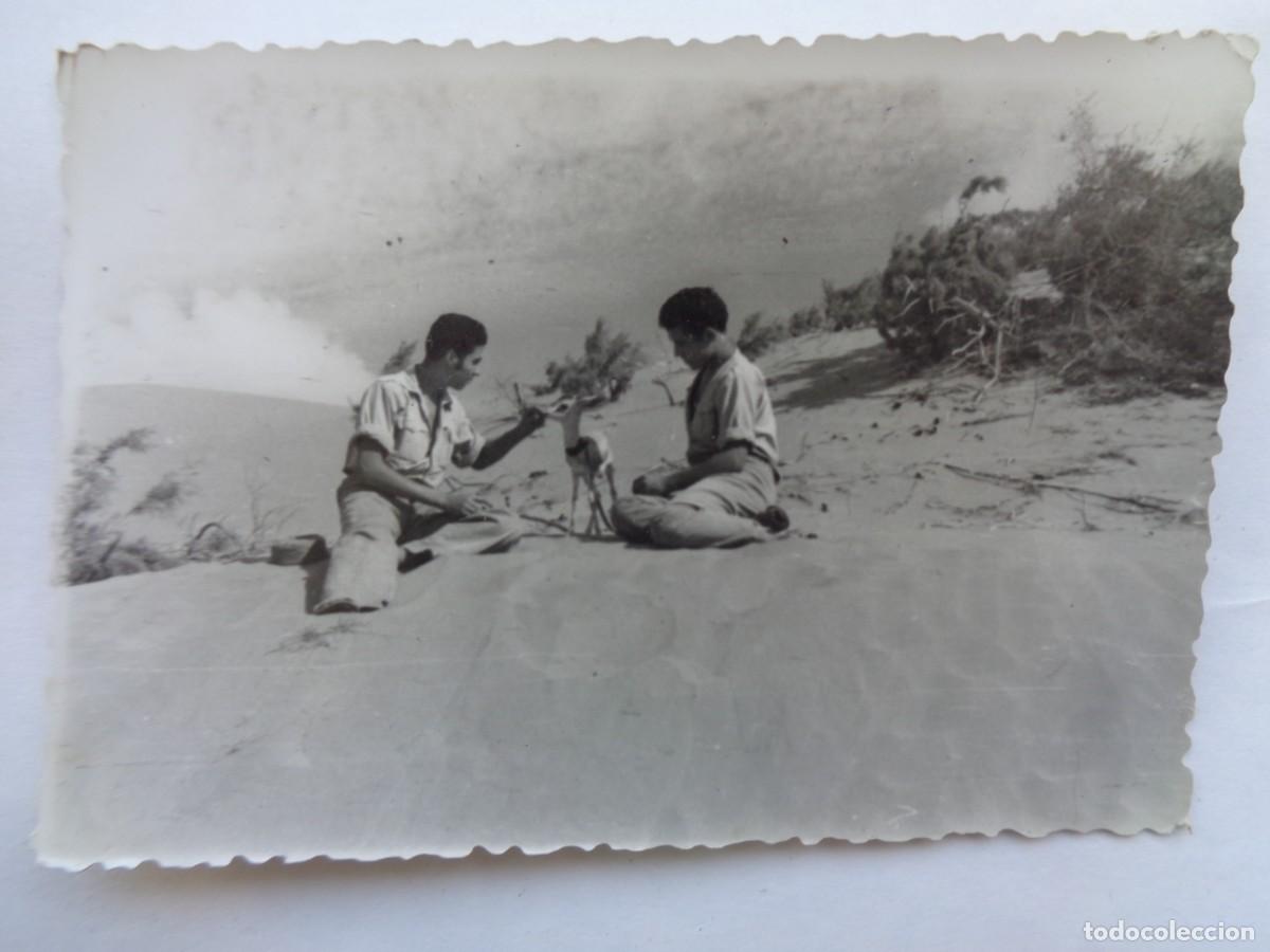 Fotograf&iacute;a antigua: LA LEGION : FOTO DE LEGIONARIOS CON UNA PEQUE&Ntilde;A GACELA EN EL SAHARA