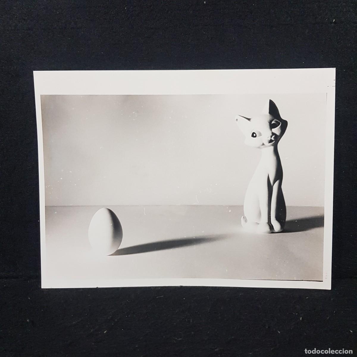 Photographie ancienne: ANTIGUA FOTO BLANCO Y NEGRO - PRECIOSAS ESCULTURAS DE DISE&Ntilde;O - 24X18 Cm / 74