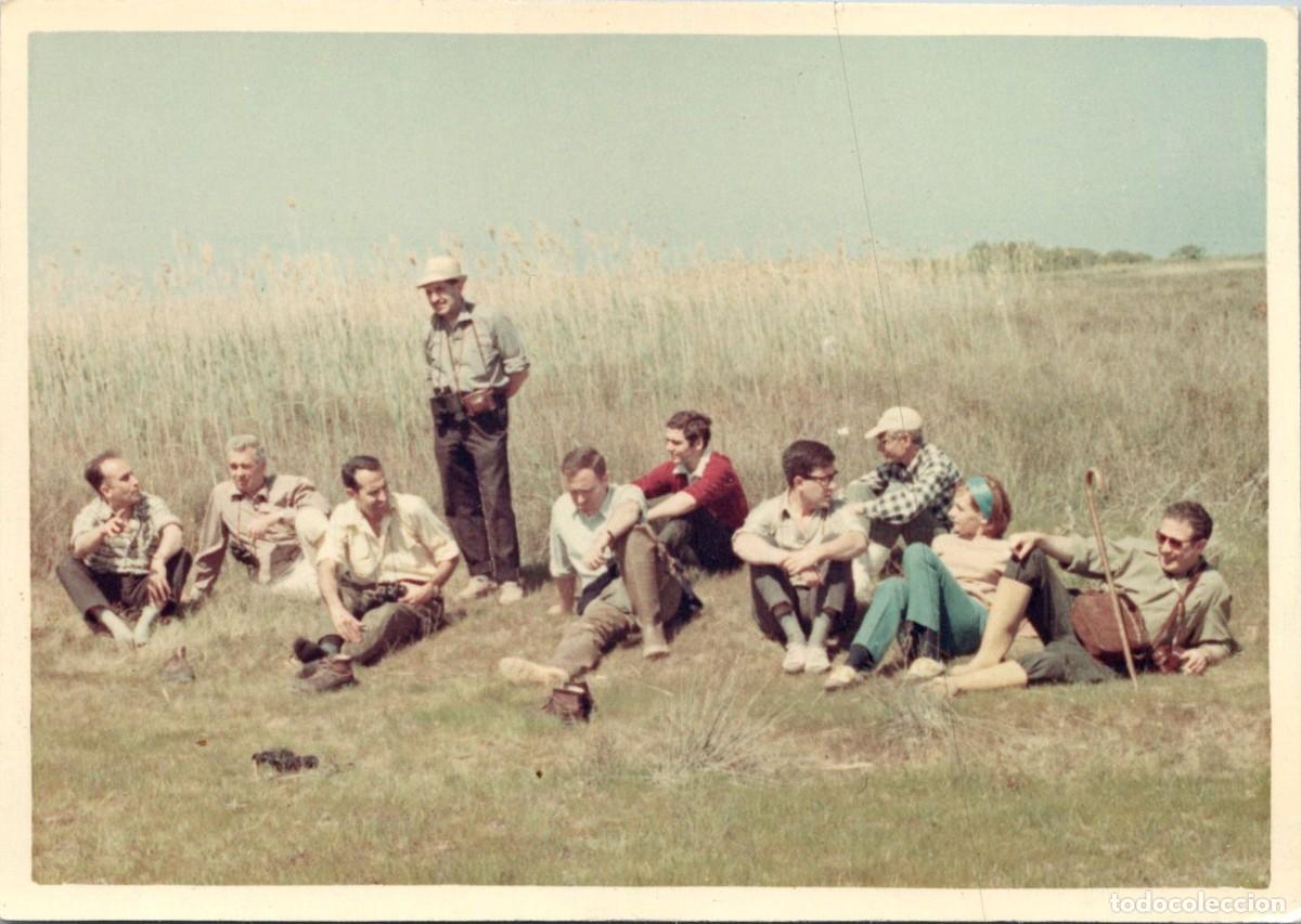Fotograf&iacute;a antigua: Illa de Buda - Sant Jaume d'Enveja - Delta de l'Ebre - Anys 60 ? - Fotograf&iacute;a - 123x87mm