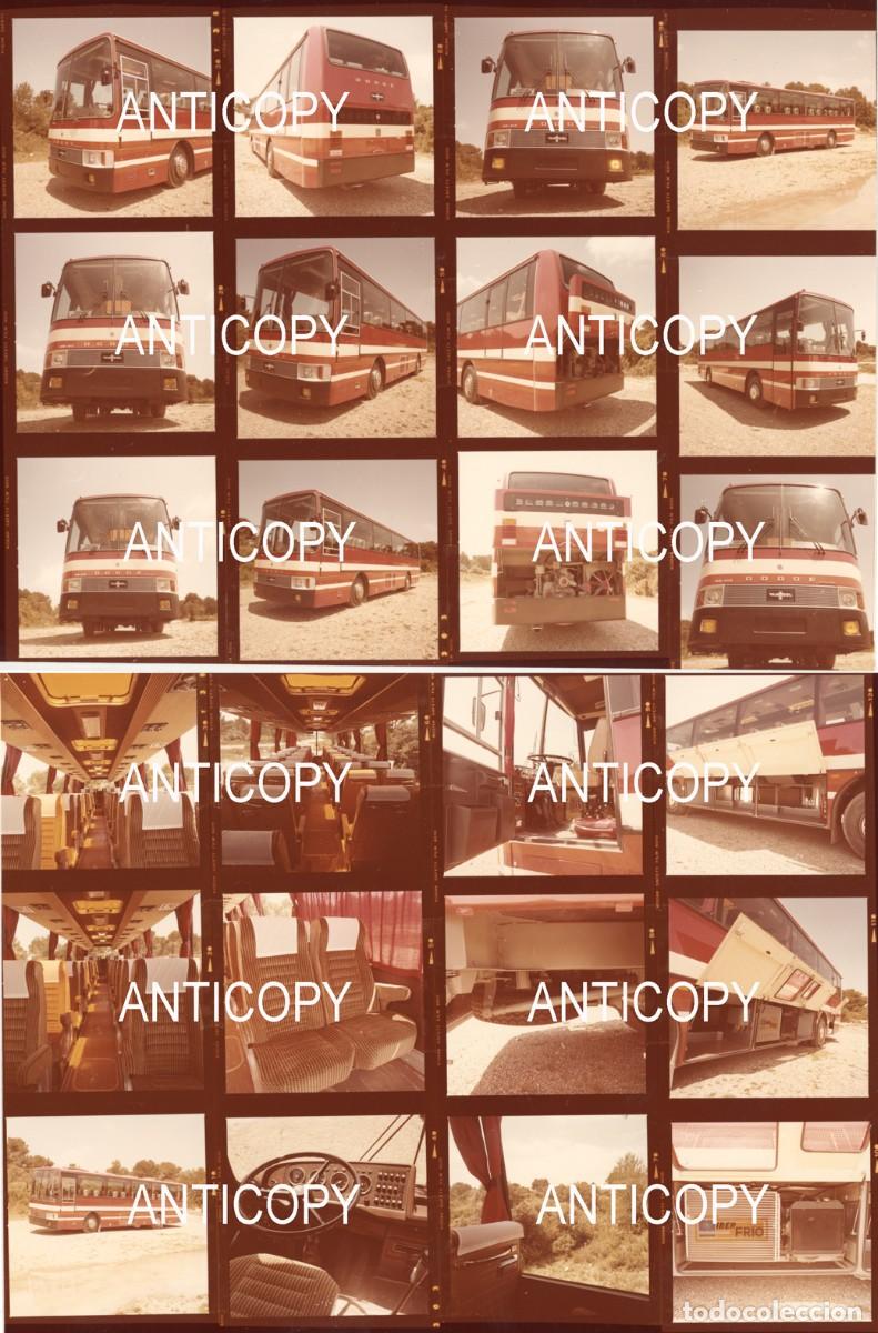 Fotograf&iacute;a antigua: DOS FOTOGRAF&Iacute;AS . 20 x 25 cmts. Cada una con 12 fotos de autob&uacute;s Dodge. Vanhool.