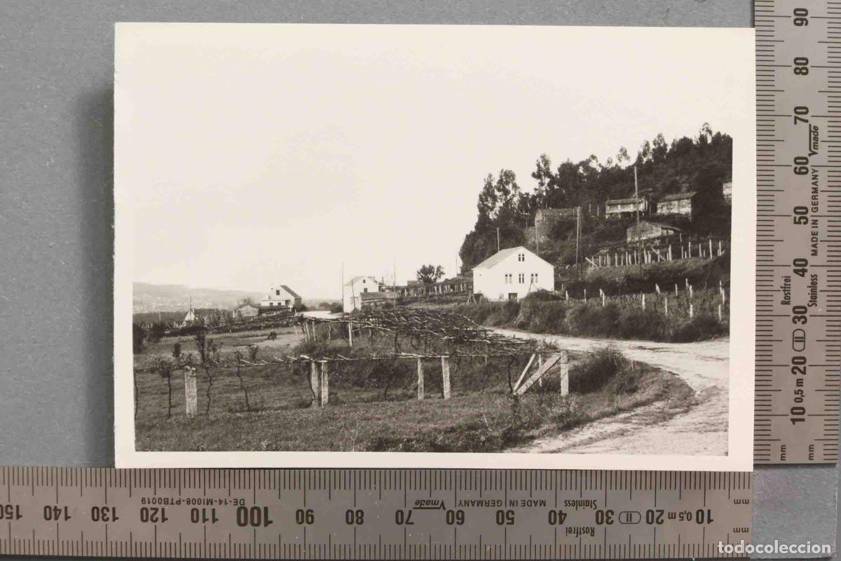 Photographie ancienne: FOTOGRAFIA. VISTA CERCA DE PI&Ntilde;EIRA. 1970