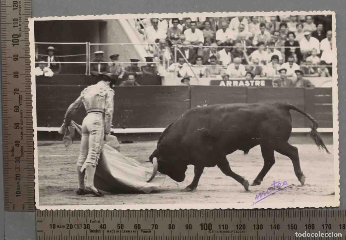 Fotografia antiga: FOTOGRAFIA. VERONICA EL VITI. MATEO 19961