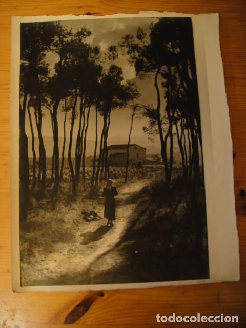 Fotograf&iacute;a antigua: fotografia artistica - 39 x 26 cnt&ordm;