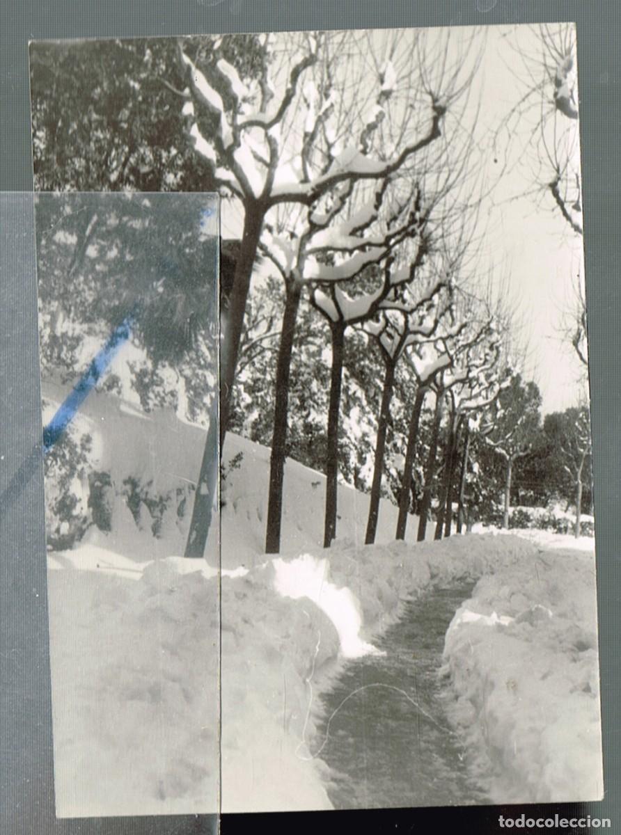Fotograf&iacute;a antigua: 1962 DICIEMBRE &rdquo;CAMINO JUNTO A LOS &Aacute;RBOLES&rdquo; GRAN NEVADA QUE ASOL&Oacute; A CATALUNYA