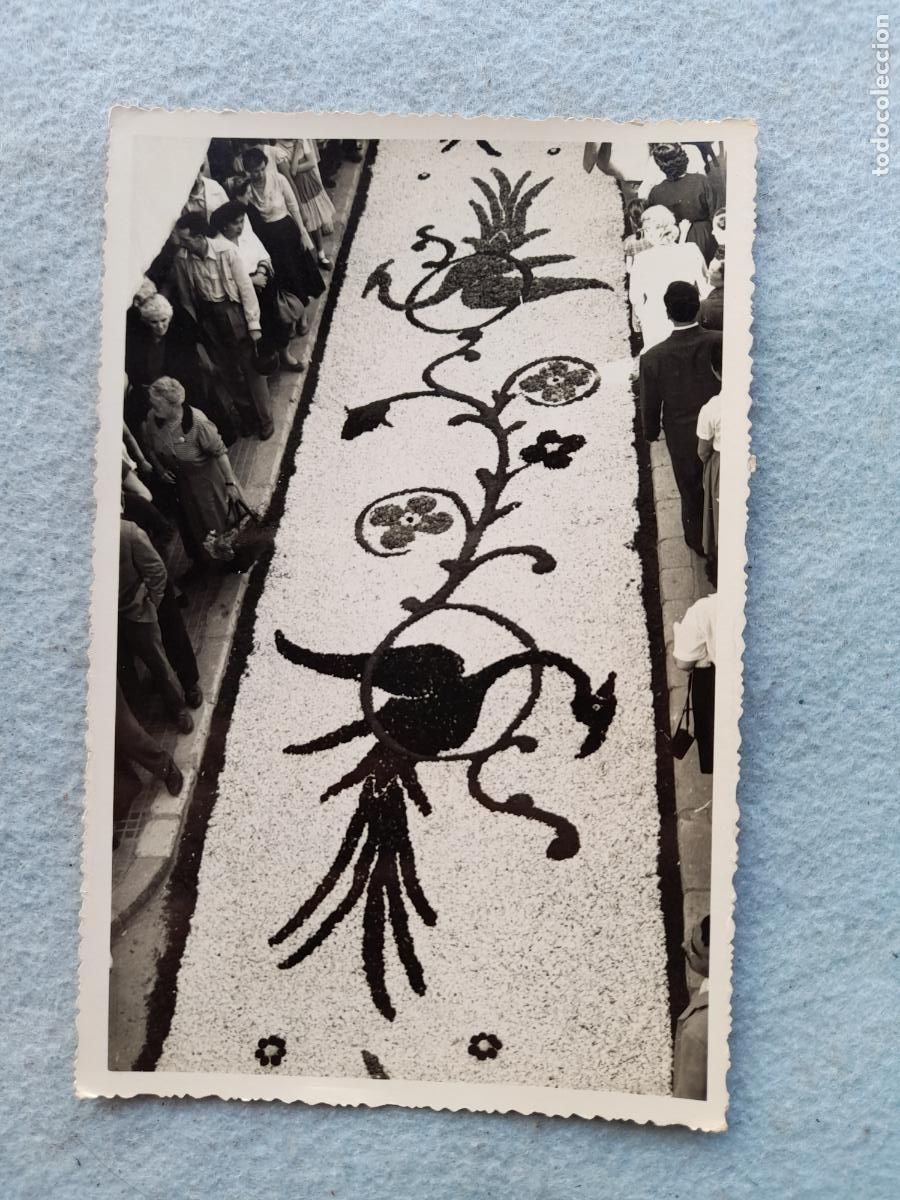 Fotograf&iacute;a antigua: Fotograf&iacute;a antigua de Alfombra de Flores.