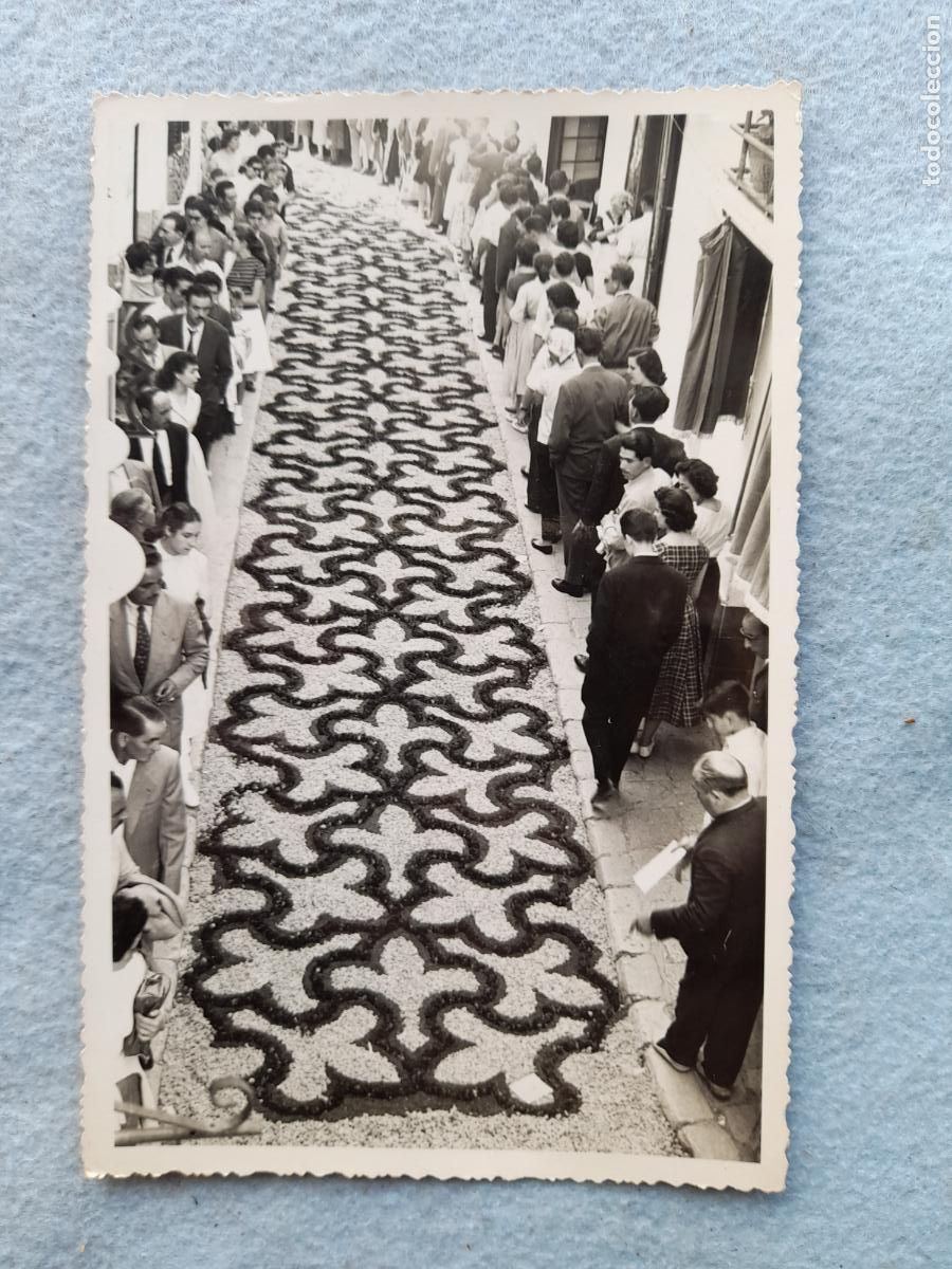 Fotograf&iacute;a antigua: Fotograf&iacute;a antigua de Alfombra de Flores.