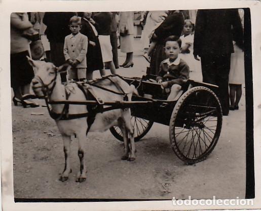 Fotograf&iacute;a antigua: Curiosa foto. Ni&ntilde;o en calesa tirada por una cabra. A&ntilde;os 40 h aa