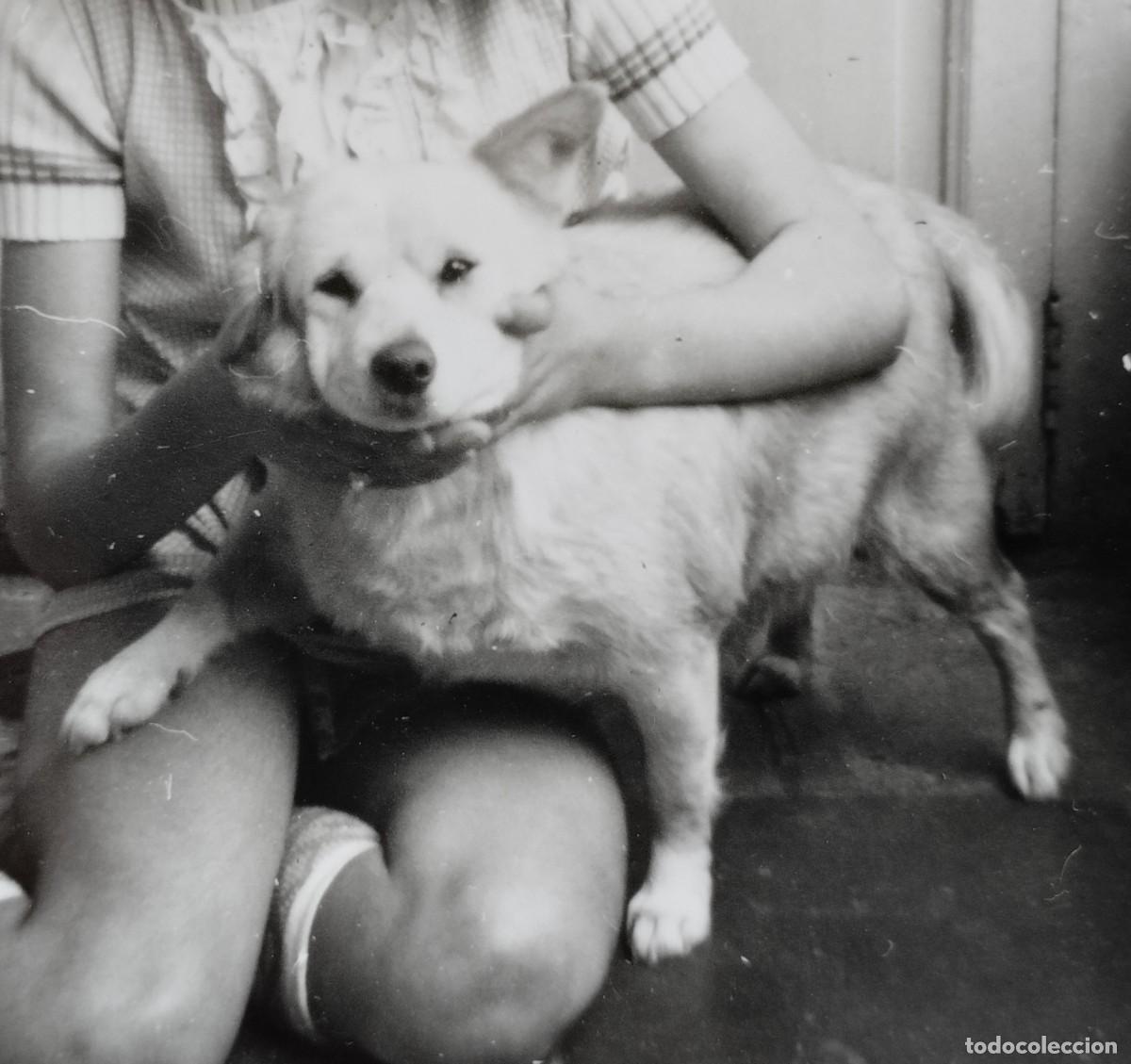 Fotografia antica: Fotograf&iacute;a antigua de una ni&ntilde;a posando con su perro peque&ntilde;o