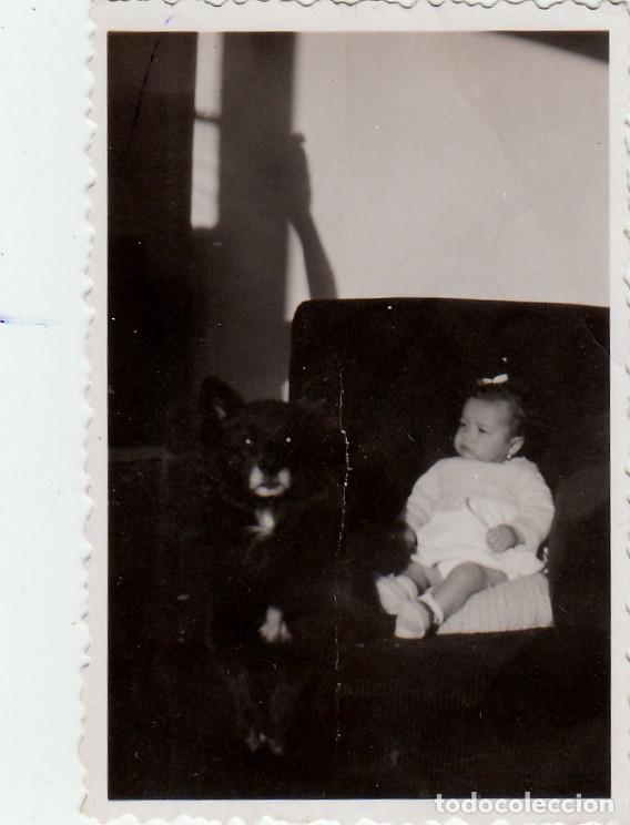 Fotograf&iacute;a antigua: Beb&eacute; con su perro. Mascota. A&ntilde;os 40 h aa