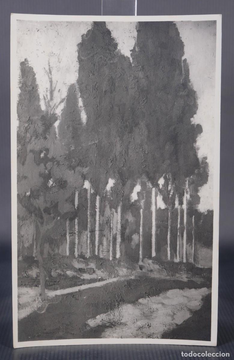 Fotografia antiga: Fotograf&iacute;a pintura bosque a&ntilde;os 20-30