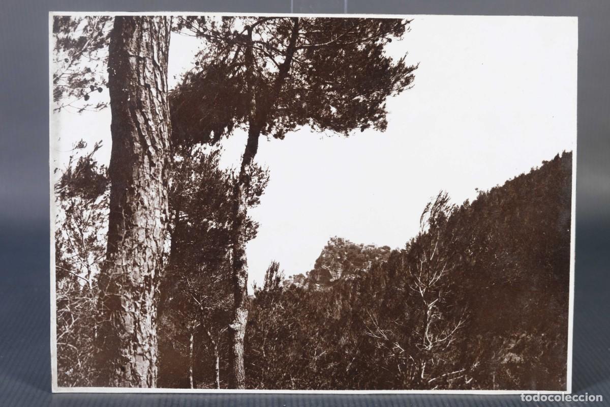 Fotografia antiga: Fotograf&iacute;a bosque y monta&ntilde;a a&ntilde;os 40
