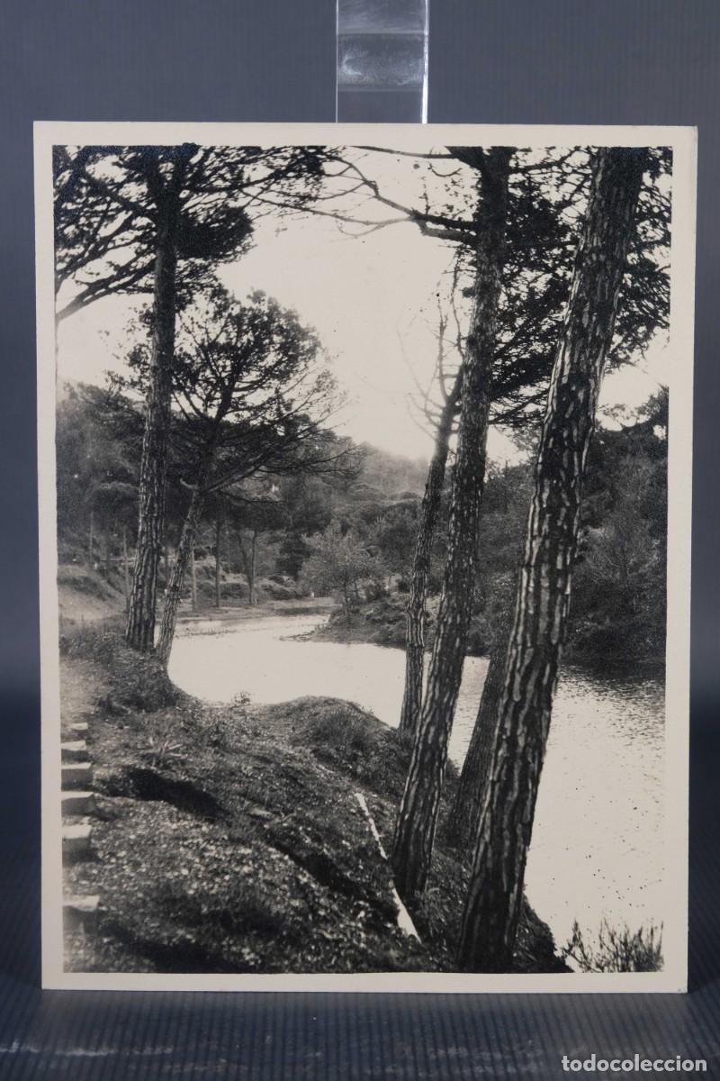 Fotografia antiga: Fotograf&iacute;a Vista bosque y r&iacute;o a&ntilde;os 20-20