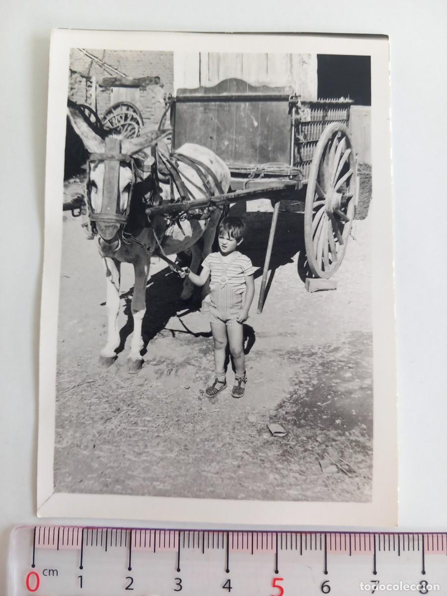 Fotografia antiga: Ni&ntilde;o con burro y carro. A&ntilde;os 40 o 50.