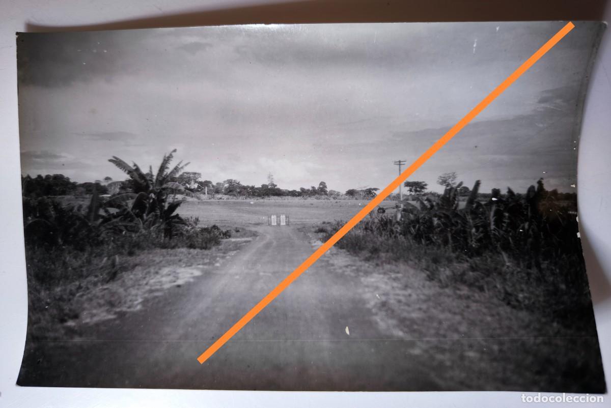 Fotografia antica: Antigua fotograf&iacute;a. Guinea Ecuatorial espa&ntilde;ola. A&ntilde;os 40/50.