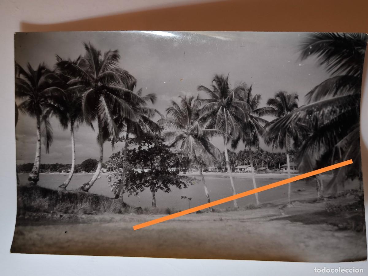 Fotograf&iacute;a antigua: Antigua fotograf&iacute;a. Guinea Ecuatorial espa&ntilde;ola. A&ntilde;os 40/50.