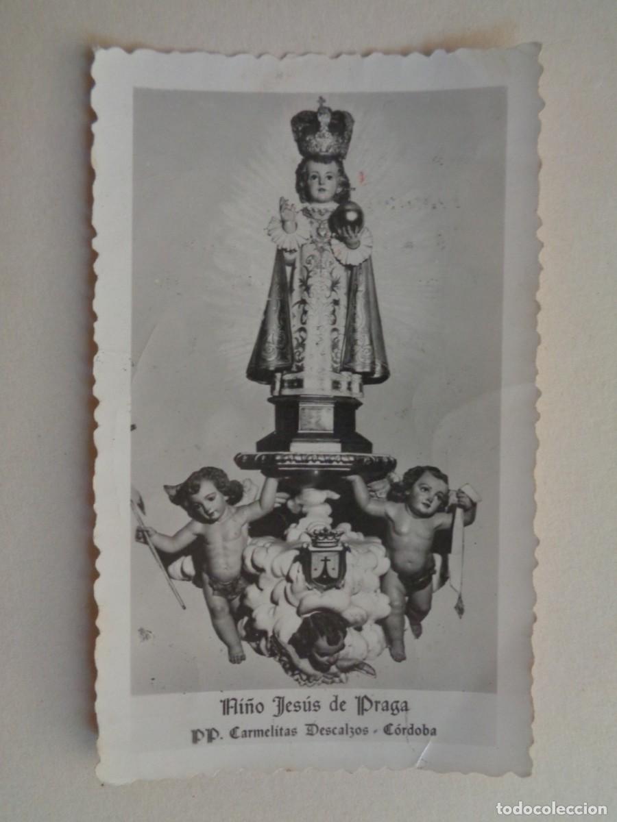 Fotograf&iacute;a antigua: FOTO DE IMAGEN DEL NI&Ntilde;O JESUS DE PRAGA ( CAMELITAS DESCALZAS, CORDOBA ). RECUERDO BUJALANCE 1958