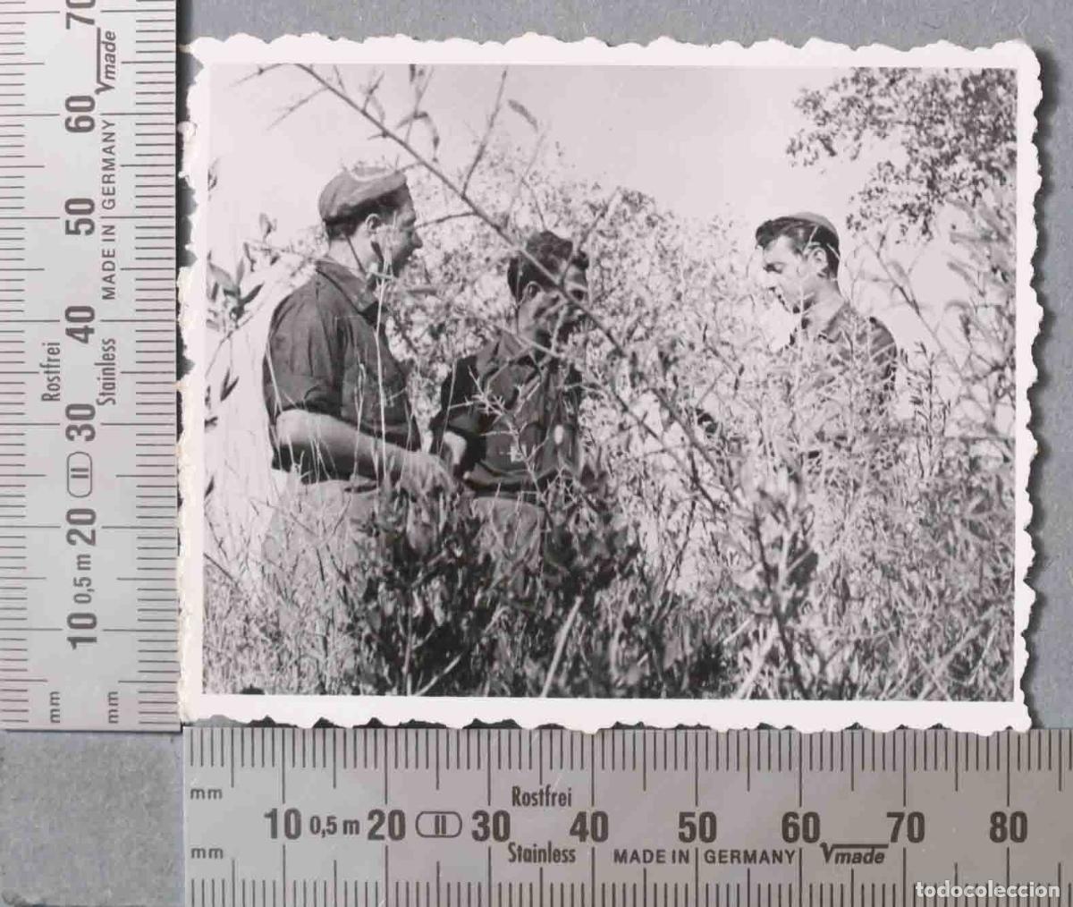 Photographie ancienne: FOTOGRAFIA. FRENTE DE JUVENTUDES. HACIA 1953