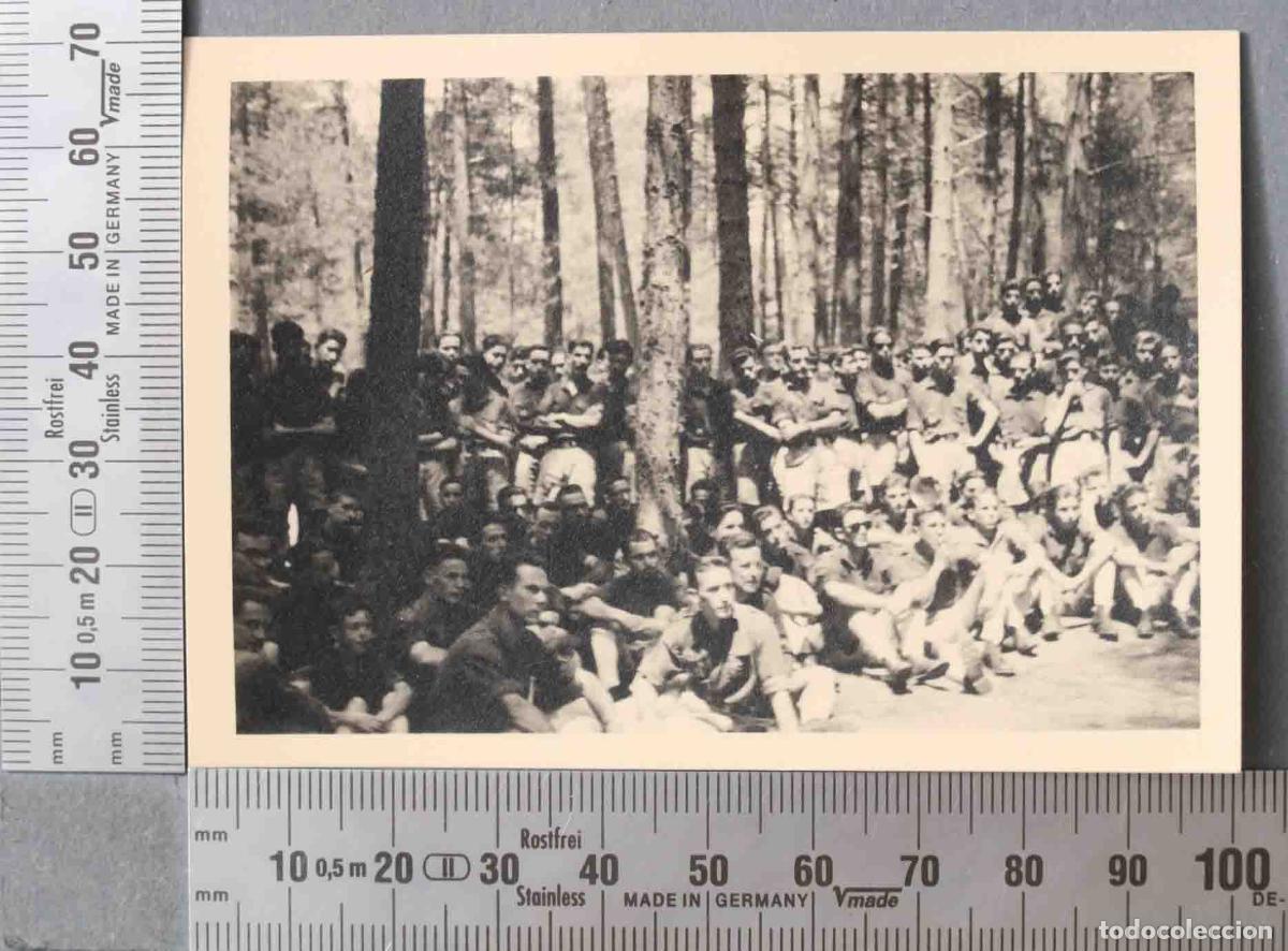 Alte Fotografie: FOTOGRAFIA. CAMPAMENTO FRENTE DE JUVENTUDES. HACIA 1953