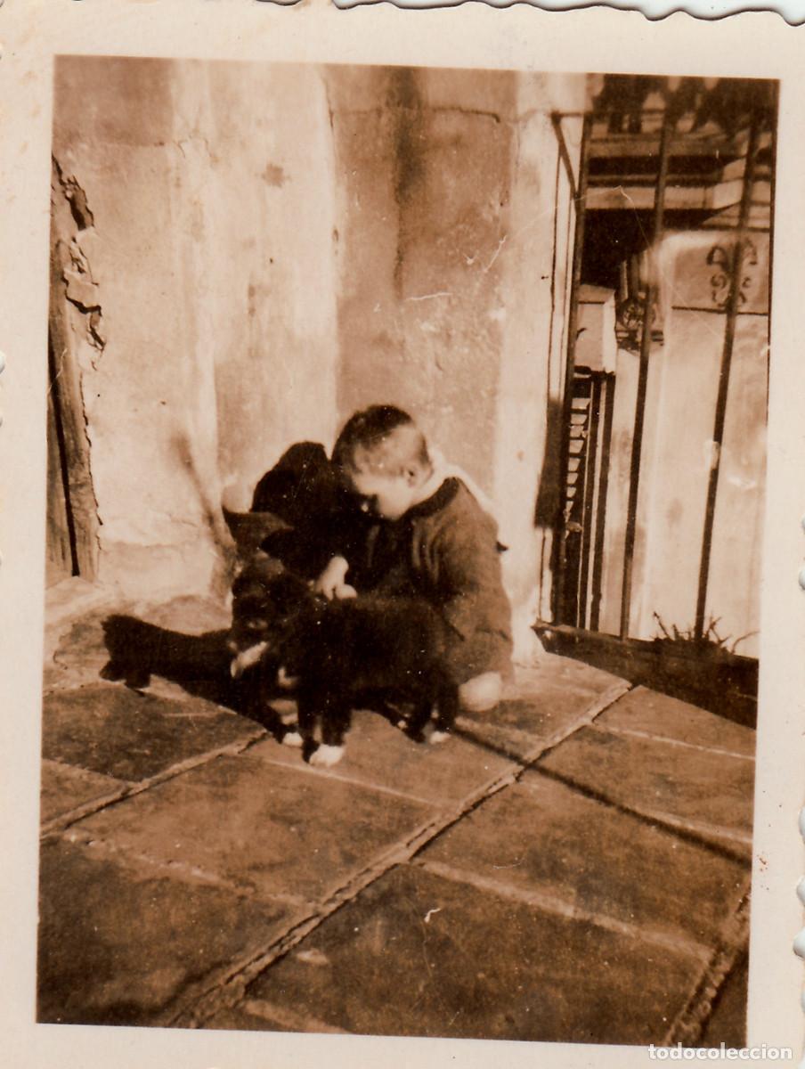 Fotograf&iacute;a antigua: Ni&ntilde;o en la azotea con un cachorro. Perro. Mascota. A&ntilde;os 40 oc