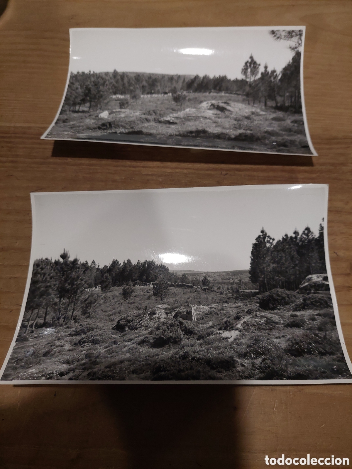 Photographie ancienne: Fotos vintange lugo.paisaje