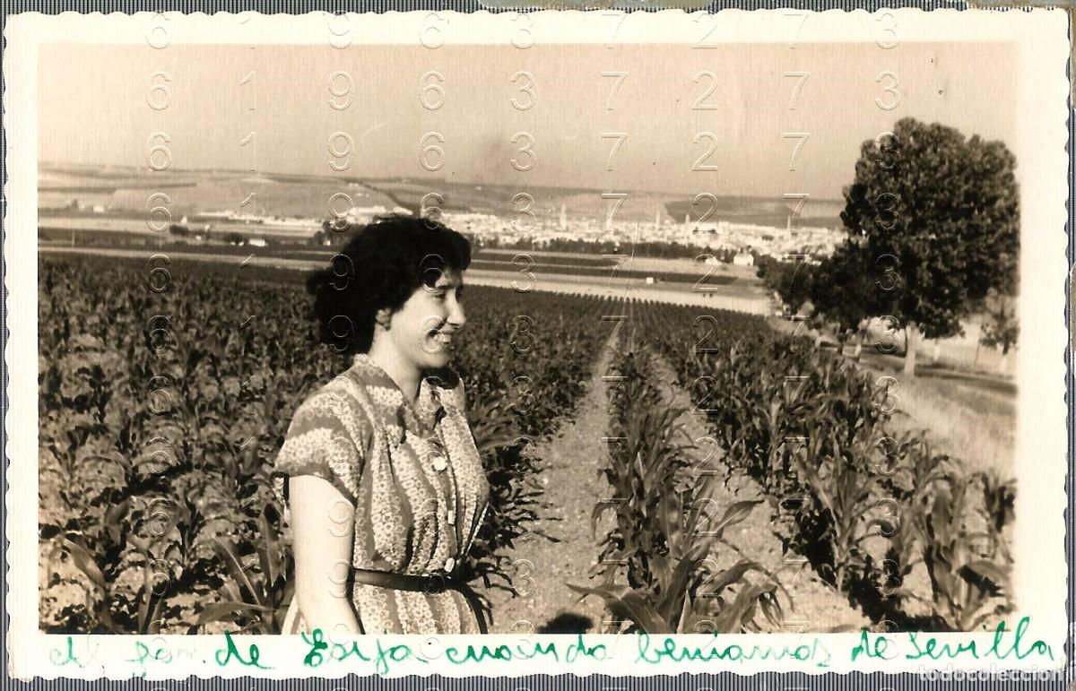 Fotograf&iacute;a antigua: ECIJA FOTOGRAFIA MERCEDES VECINO PEPE VAQUERO ARCHIVO 14X8 LM56