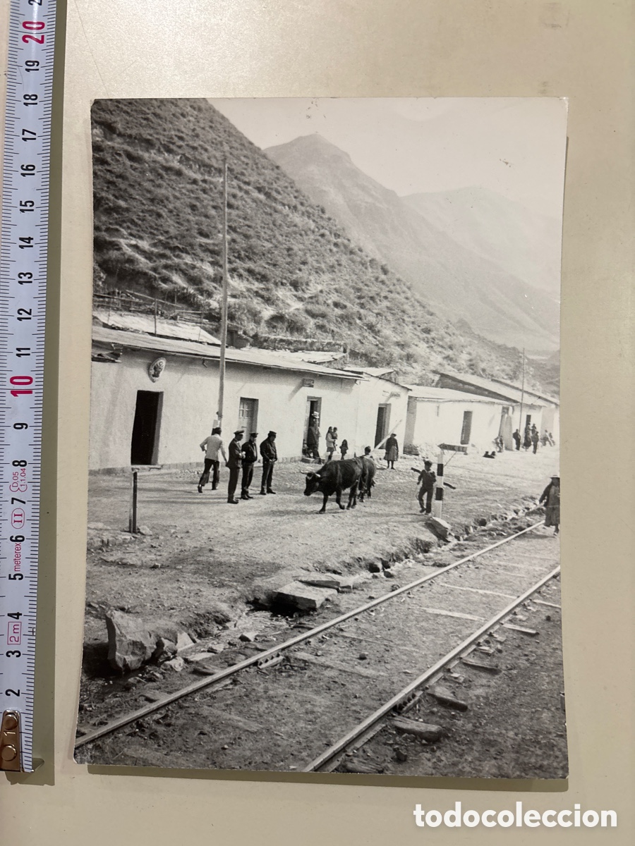 Fotograf&iacute;a antigua: FOTO. EXCURSION A LOS ANDES, PERU. L&Iacute;NEAS DE FERROCARRIL. FOT&Oacute;GRAFO?.