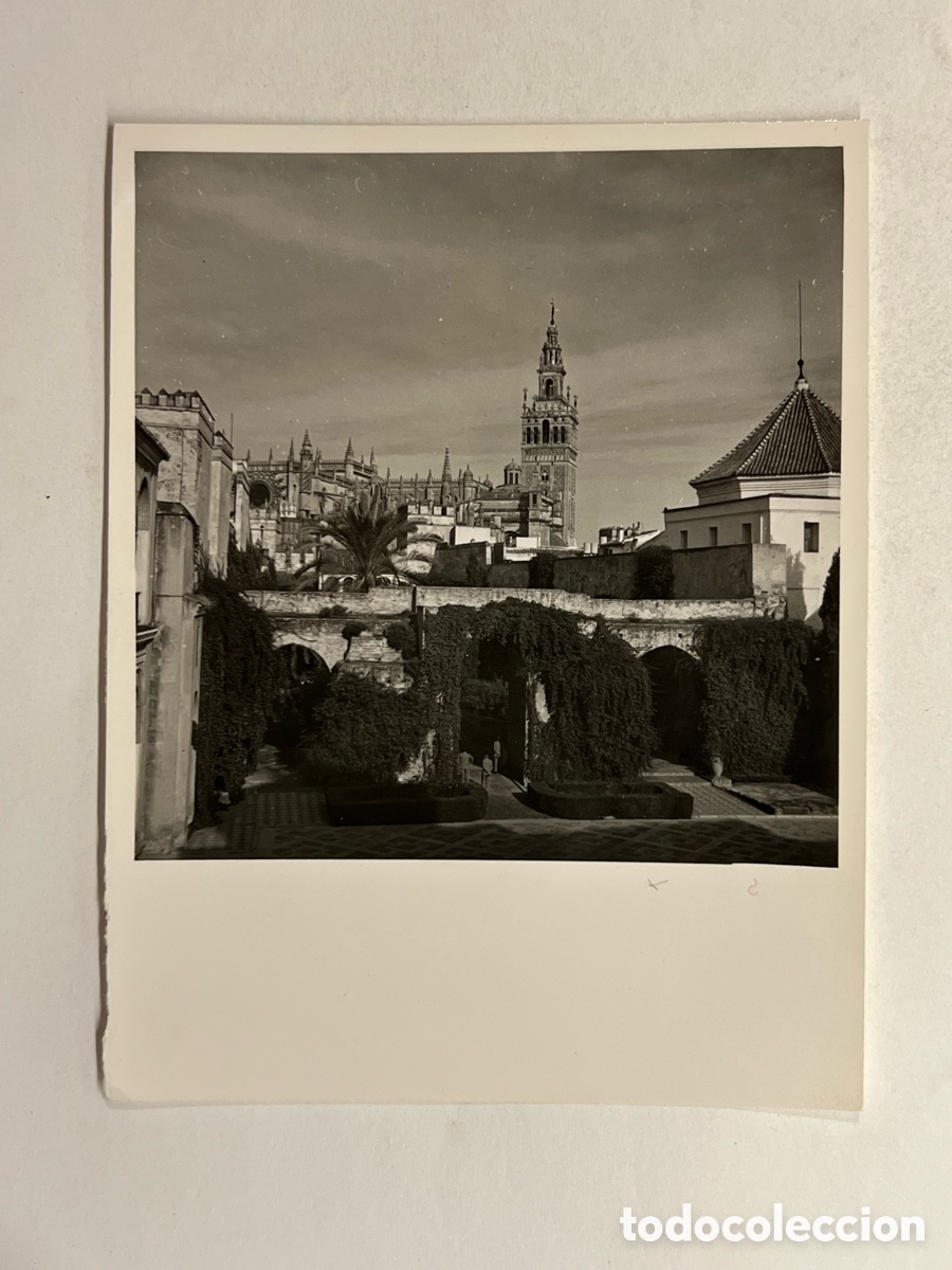 Alte Fotografie: SEVILLA.. fotograf&iacute;a Vista de la Giralda.. desde los Reales Alc&aacute;zares.., Octubre de 1952..