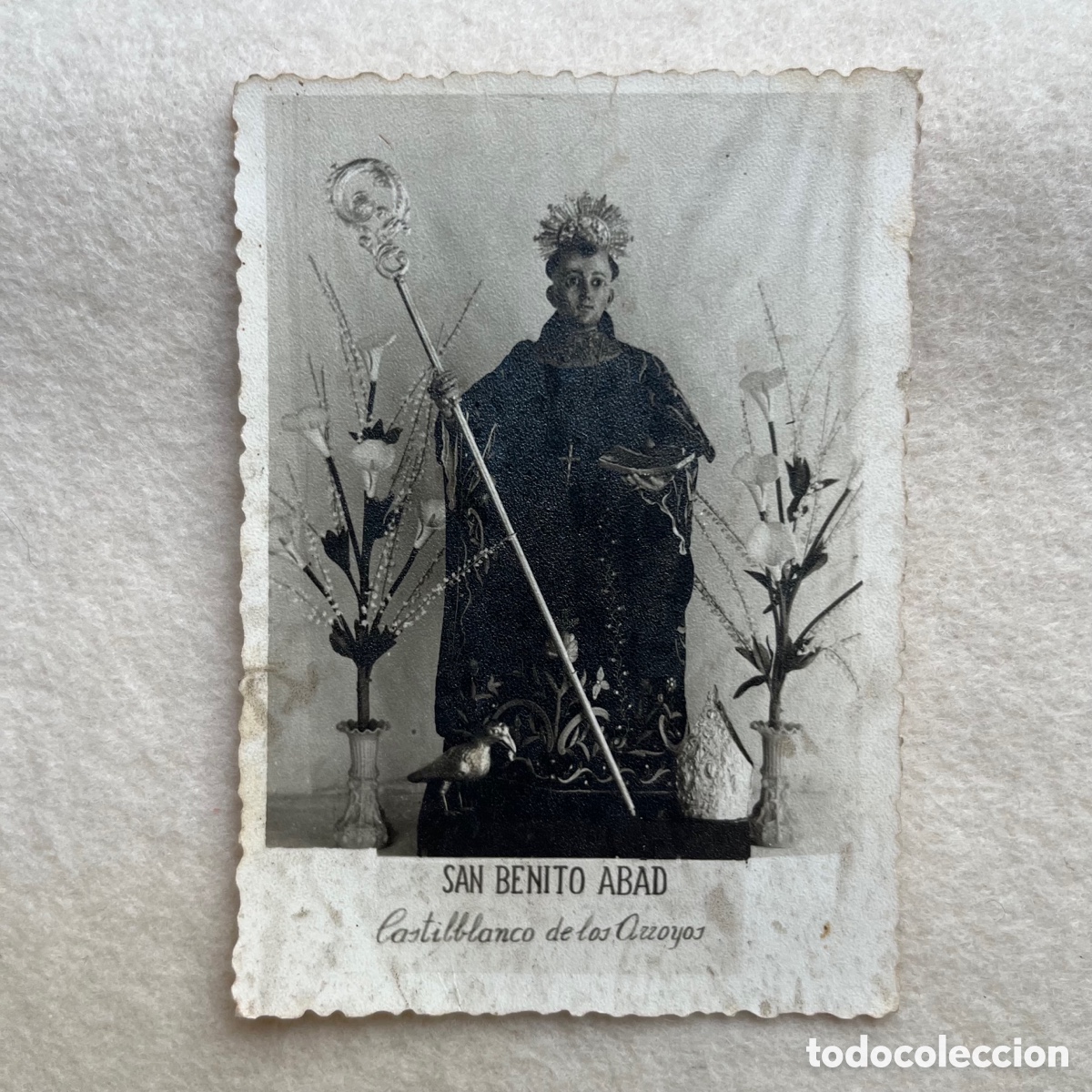 Fotograf&iacute;a antigua: ANTIGUA FOTOGRAF&Iacute;A SAN BENITO ABAD / CASTILBLANCO DE LOS ARROYOS / SEVILLA