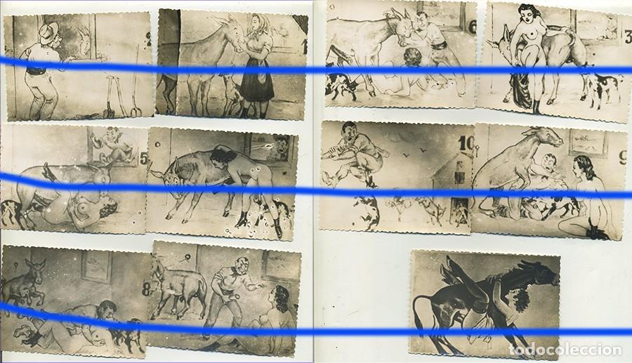 Fotograf&iacute;a antigua: SERIE COMPLETA DE 11 FOTOGRAFIAS DE DIBUJOS EROTICOS LA CAMPESINA Y EL BURRO A&Ntilde;OS 20