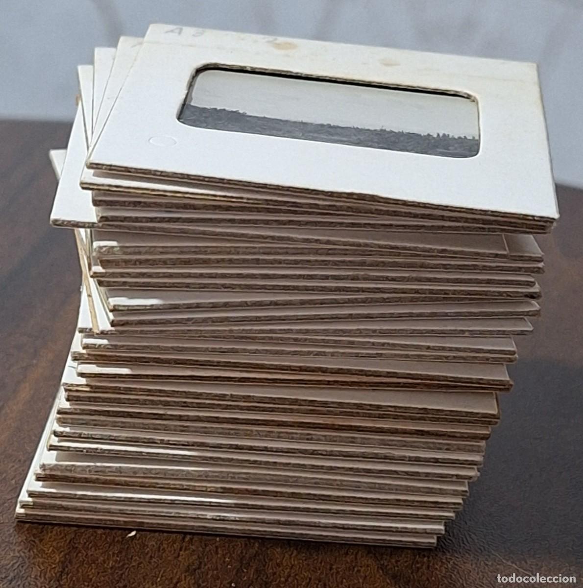Fotograf&iacute;a antigua: LOTE DE 27 FOTOGRAF&Iacute;AS DE BOT&Aacute;NICA EN MARQUITOS DE DIAPOSITIVA (Helechos, esparto, siega cereales..)