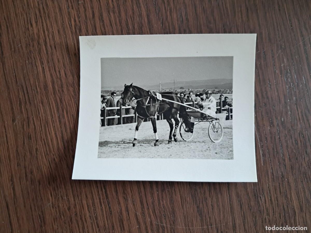 Fotograf&iacute;a antigua: fotograf&iacute;a antigua, carreras de caballos, hip&oacute;dromo Palma de Mallorca.