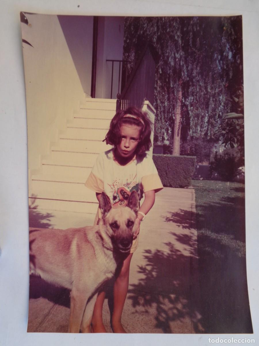 Fotografia antiga: FOTO DE NI&Ntilde;A CON PERRO ..... 15 X 21 CM