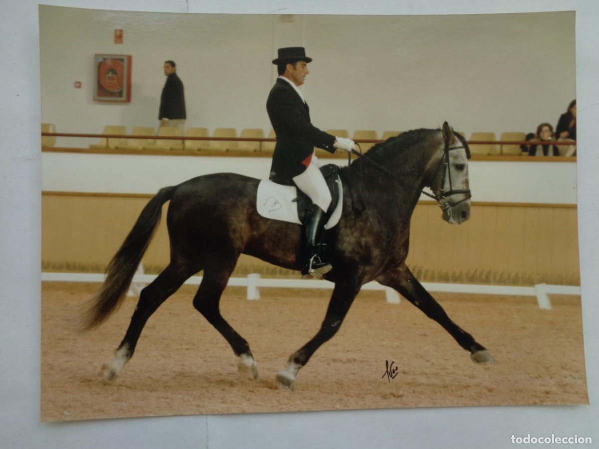 Fotografia antiga: FOTO DE JINETE A CABALLO , DOMA CLASICA .... 15 X 20 CM