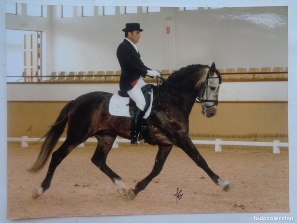 Fotograf&iacute;a antigua: FOTO DE JINETE A CABALLO , DOMA CLASICA .... 15 X 20 CM