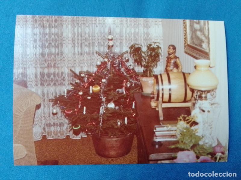 Photographie ancienne: Fotografia paisaje color arbol de navidad