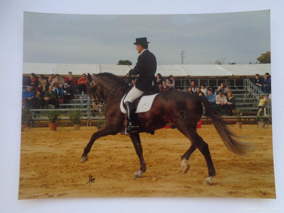 Photographie ancienne: FOTO DE JINETE A CABALLO , DOMA CLASICA .... 15 X 20 CM