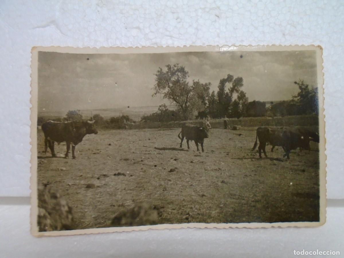 Fotografia antiga: CORDOBA.FOTO LINARES 14X9 CM.FINALES DE LOS 40.