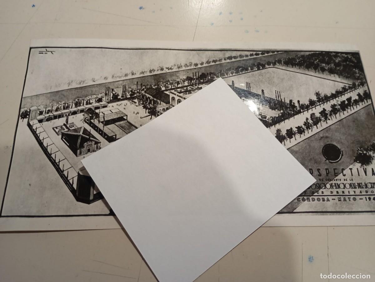 Fotograf&iacute;a antigua: FOTO VICESECRETARIA EDUCACI&Oacute;N POPULAR MOVIMIENTO EXPOSICI&Oacute;N ACEITE REF. UR MES 4 A