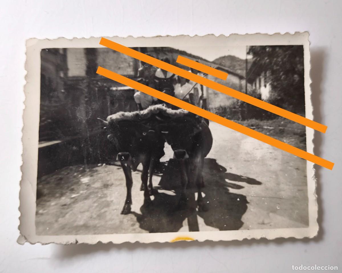 Alte Fotografie: Antigua fotograf&iacute;a. Leiza. Navarra. A&ntilde;o 1951.