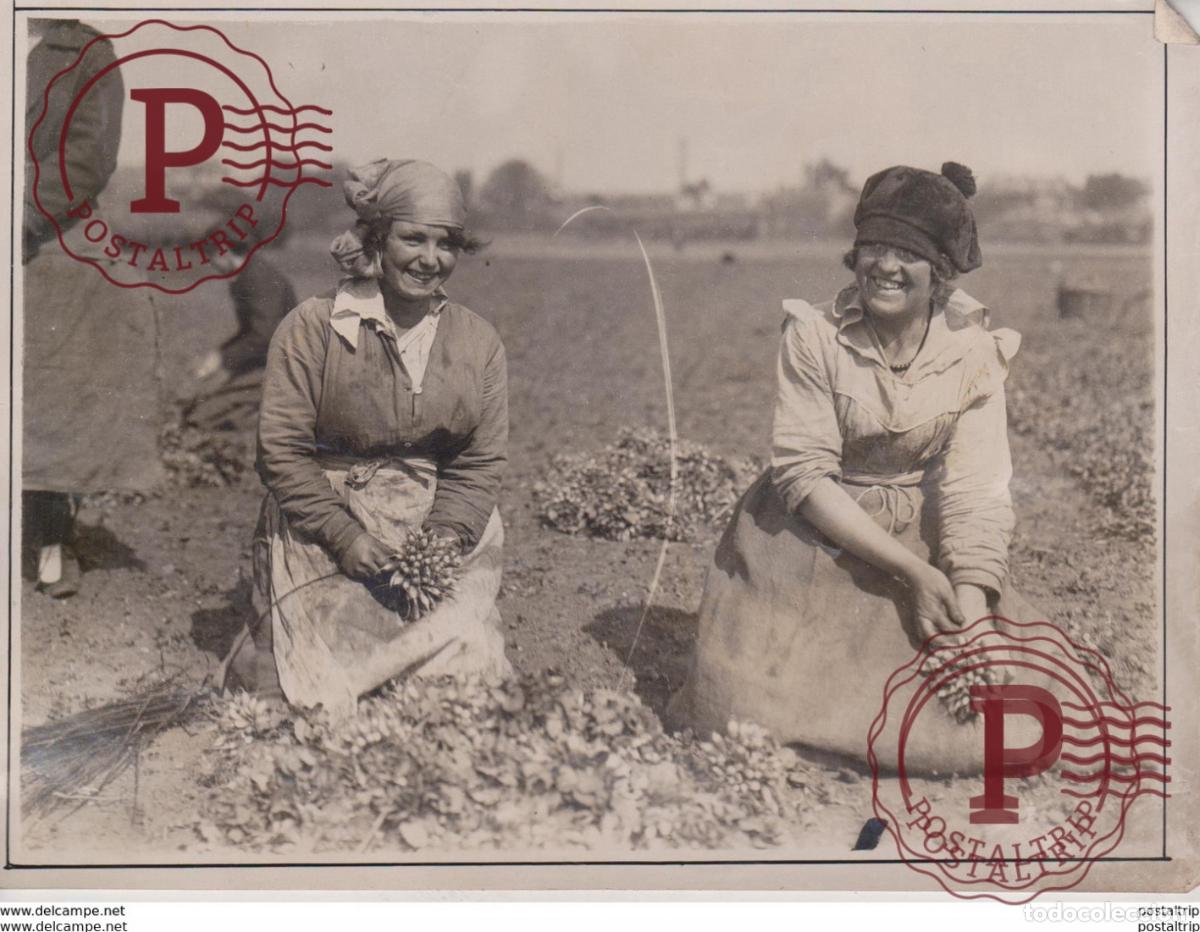 Fotografia antiga: LONDRES LONDON RADISH FARM CLOSE TO HAMMER SMITH BRIDGE ON SALE COVENT GARDEN Fonds Victor FORBIN