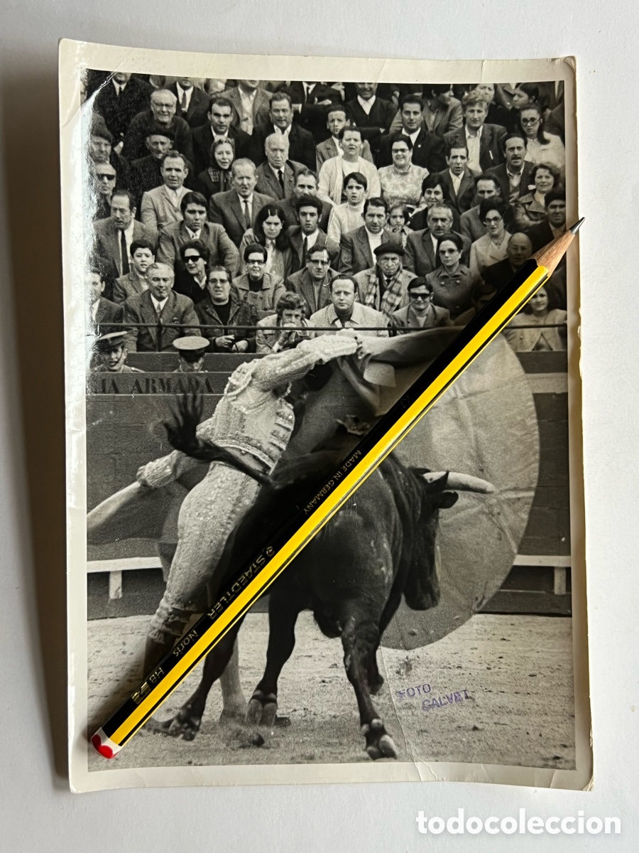 Fotografia antica: VALENCIA. Toros.. Luis Miguel Dominguin.. rematando una fant&aacute;stica faena.. (h.1950?)