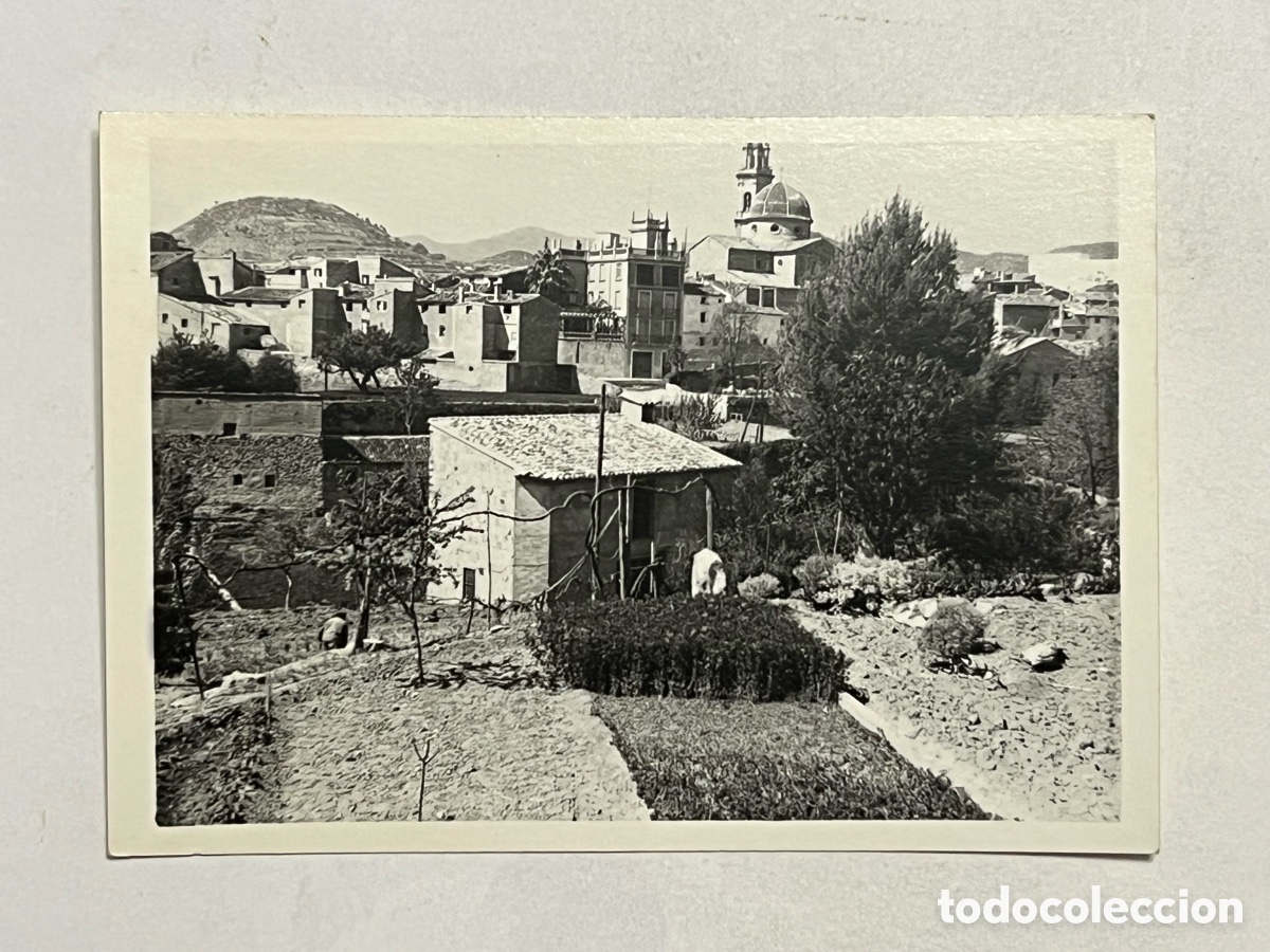 Fotografia antiga: ALTURA (Castell&oacute;n) Fotograf&iacute;a Vista panor&aacute;mica desde la huerta al fondo pueblo e iglesia (h.1960?)