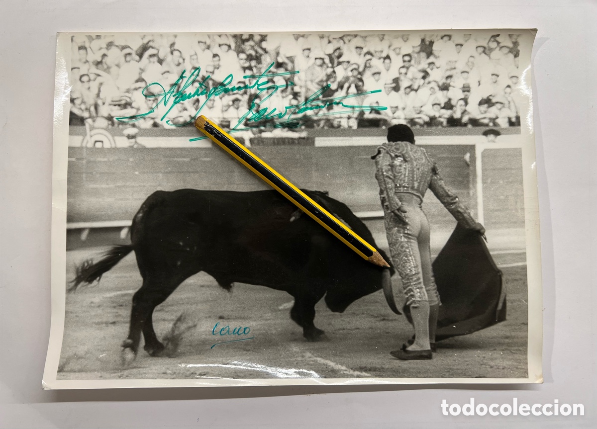 Photographie ancienne: TOROS ALICANTE. Cano, Canito, fotograf&iacute;a PACO CAMINO, pase de Muletas aut&oacute;grafo con dedicatoria