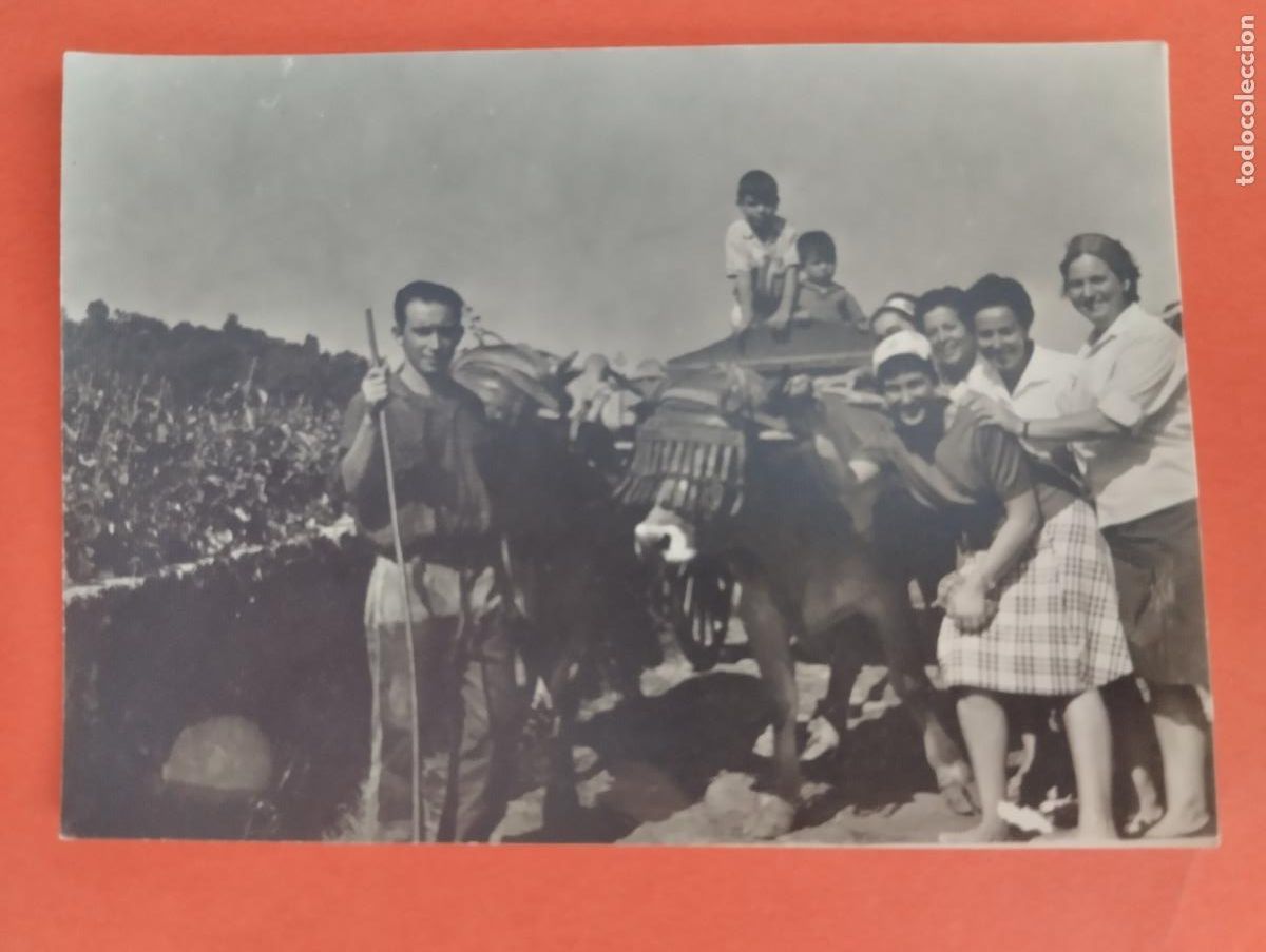 Fotograf&iacute;a antigua: FOTO. CARRETA BUEYES.. CANGAS DE ONIS ASTURIAS. 10,4X7,3CM